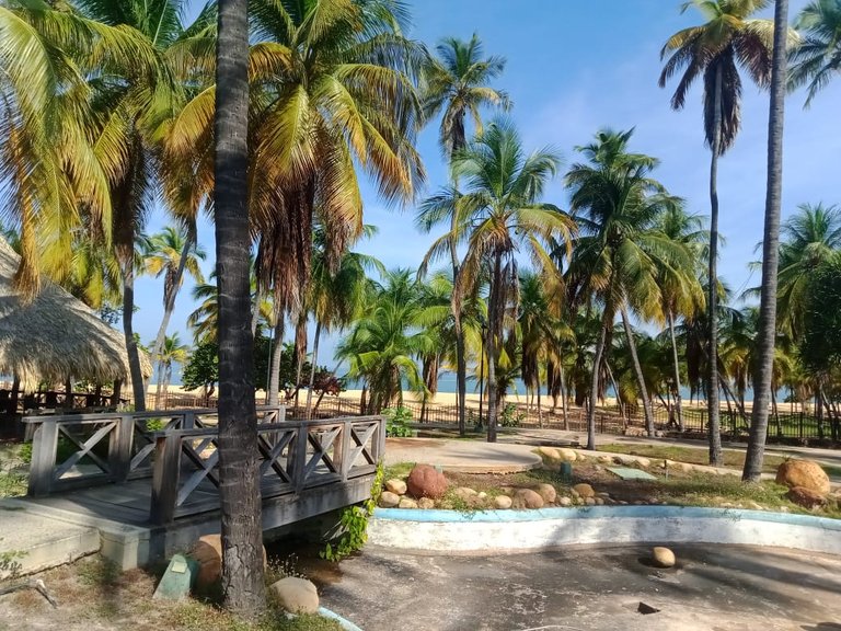 Día de playa y piscina en san luis (1).jpeg