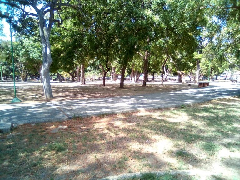 parque (4).jpeg