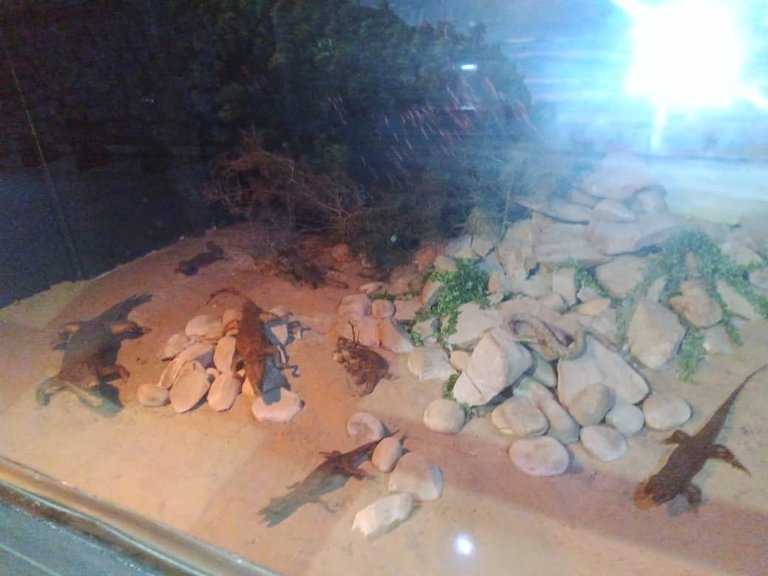 museo (40).jpeg