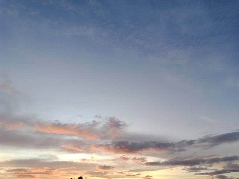 nature (4).jpeg