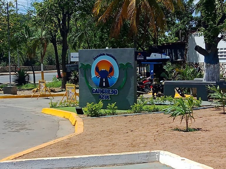 cangrejo azul (8).jpeg