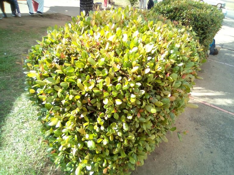 terminal puerto ordaz (10).jpeg