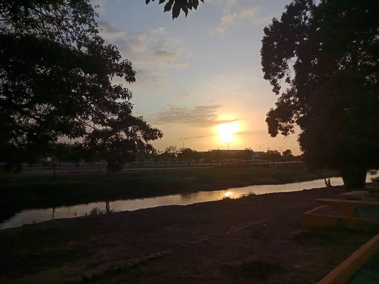 paseo vespertino parque ayacucho (25).jpeg