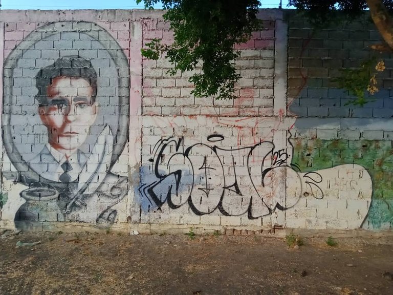 murales skateboard (10).jpeg