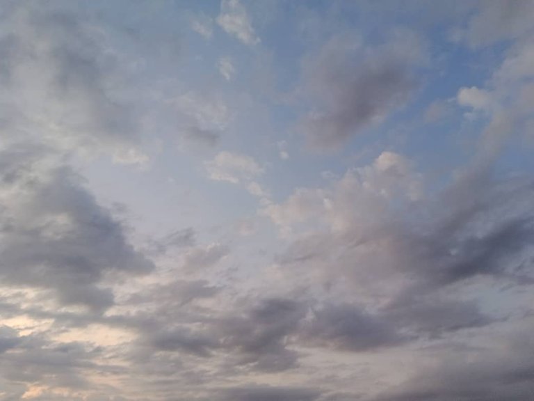 barco aladeriva (15).jpeg