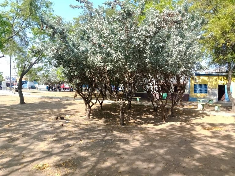 plaza juan bautistaarismenmdi (9).jpeg