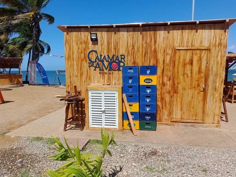 cangrejo azul (10).jpeg