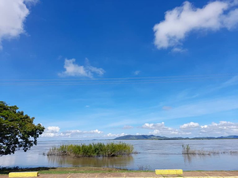 Río Orinoco (29).jpeg