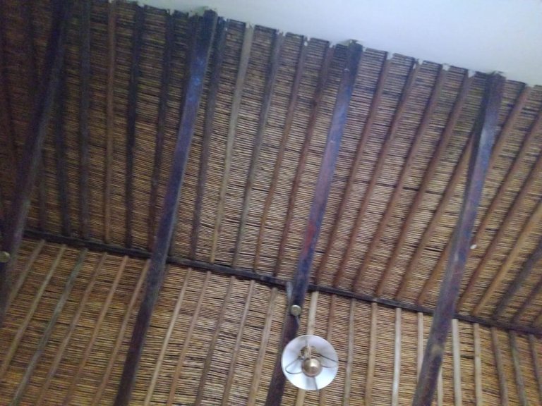casa andres eloy (59).jpeg