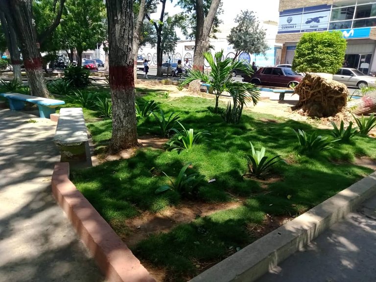 plaza (8).jpeg