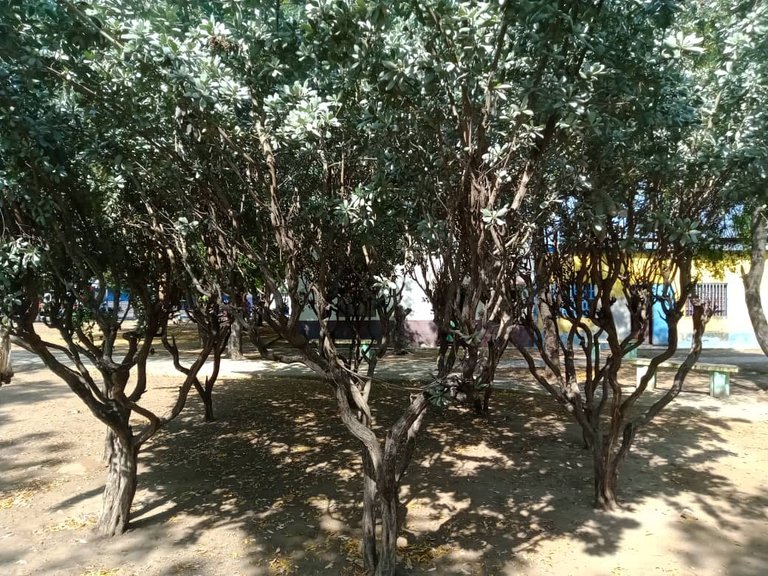 plaza juan bautistaarismenmdi (8).jpeg
