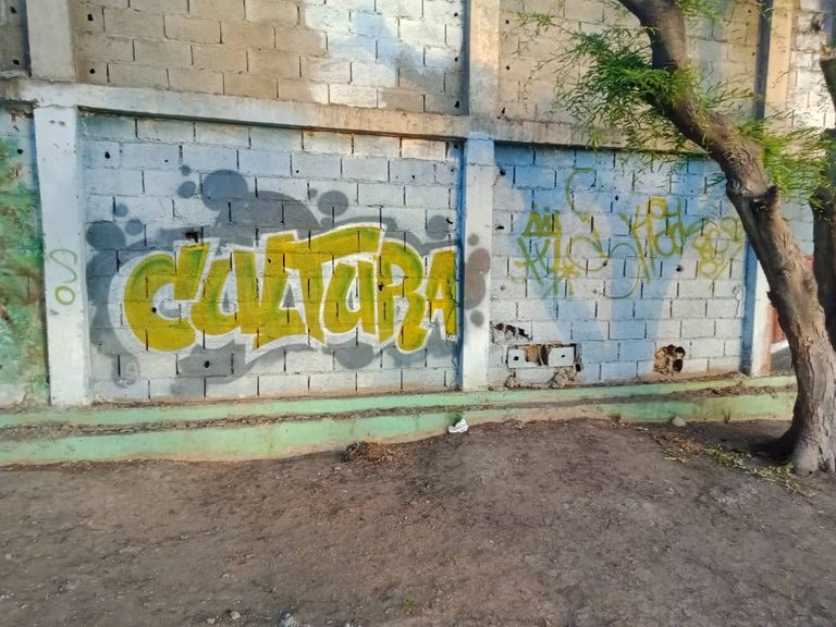 murales skateboard (12).jpeg