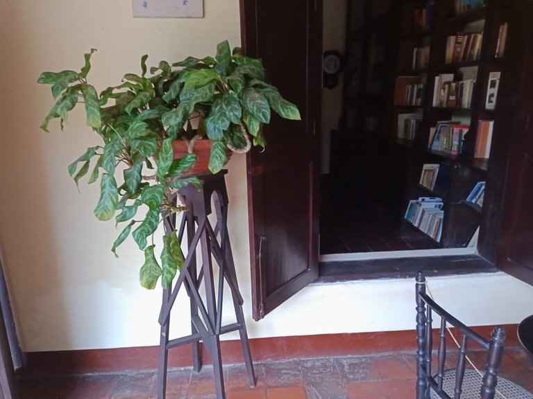casa andres eloy (20).jpeg