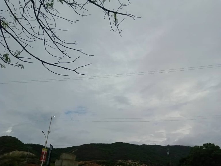caripe (5).jpeg