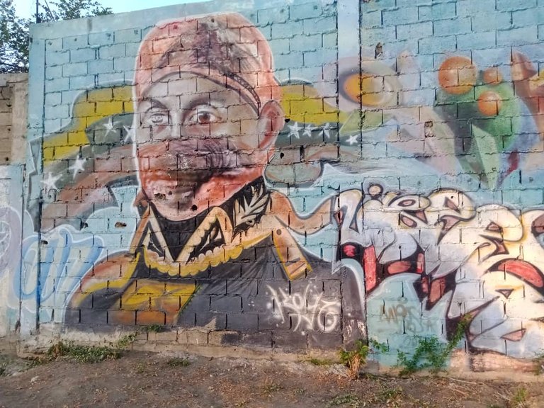 murales skateboard (1).jpeg