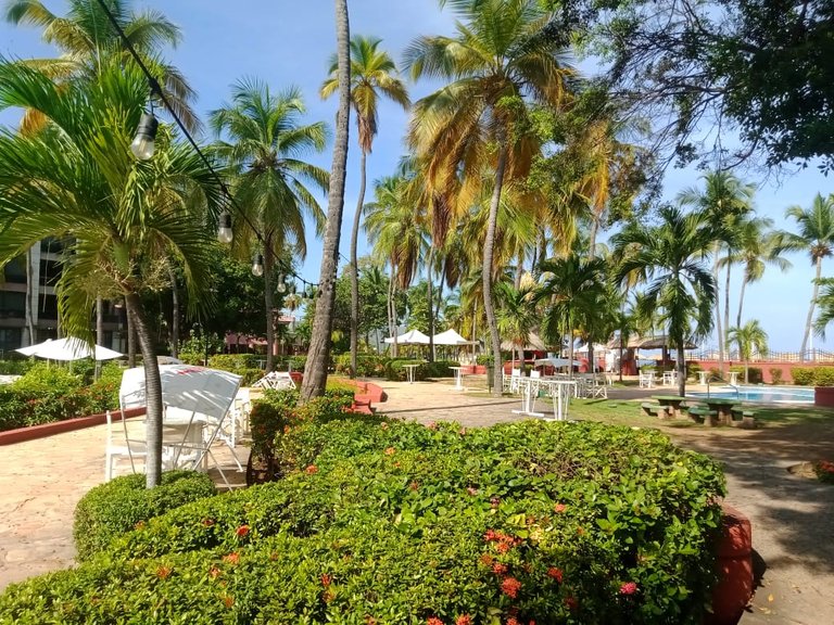 Día de playa y piscina en san luis (21).jpeg