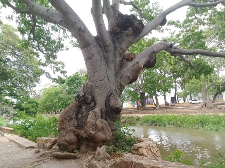 paseo guaiquerí (13).jpeg