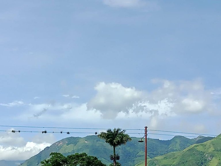 cumanacoa (6).jpeg