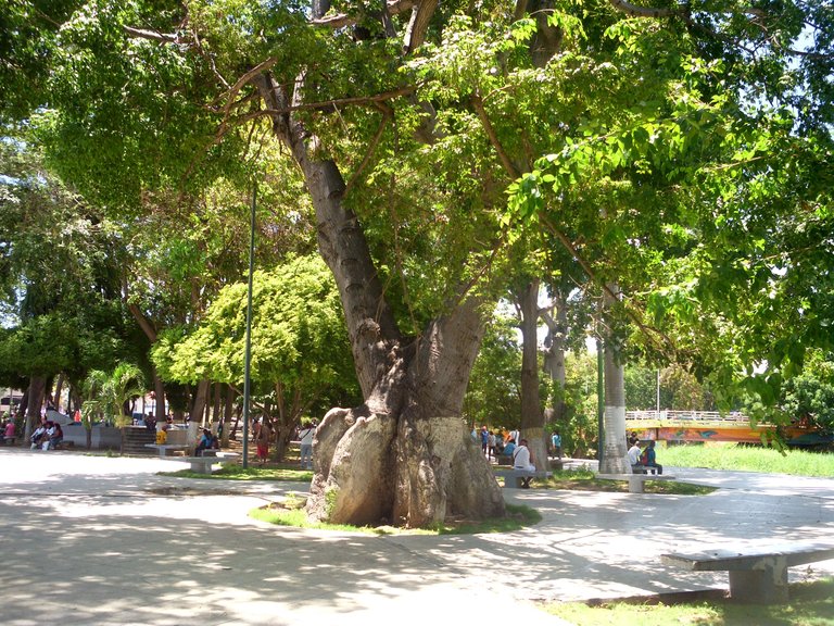 NATURALEZA ASOMBROSAE INCREÍBLE (6).JPG