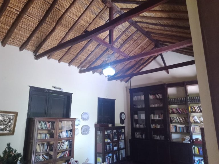 biblioteca y pasillo 2 (37).jpeg