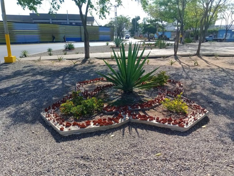redoma castilito (8).jpeg