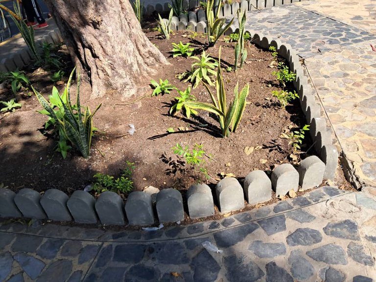 plaza general manuel cedeño (4).jpeg