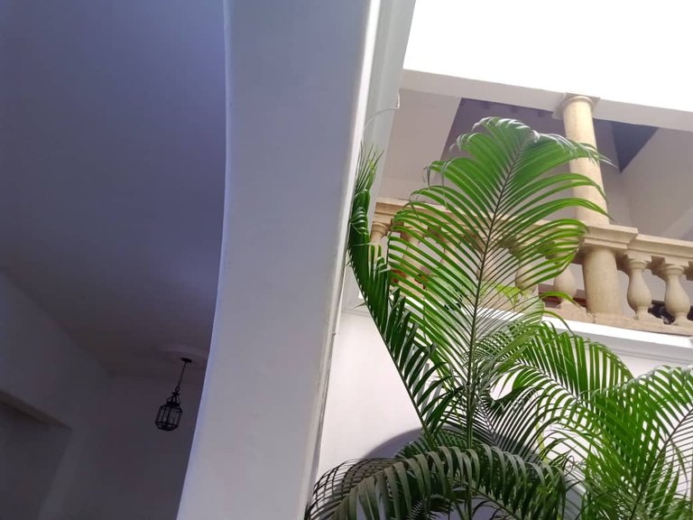 museo gran mariscal deayacucho (24).jpeg