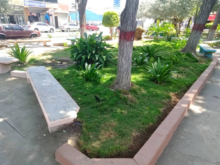 plaza (18).jpeg