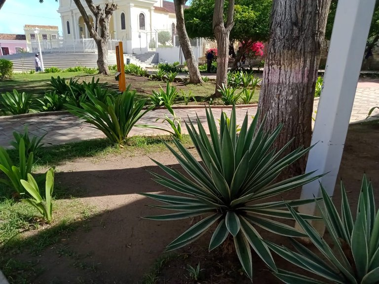 PLAZA HEROES DE CANTAURA (1).jpeg