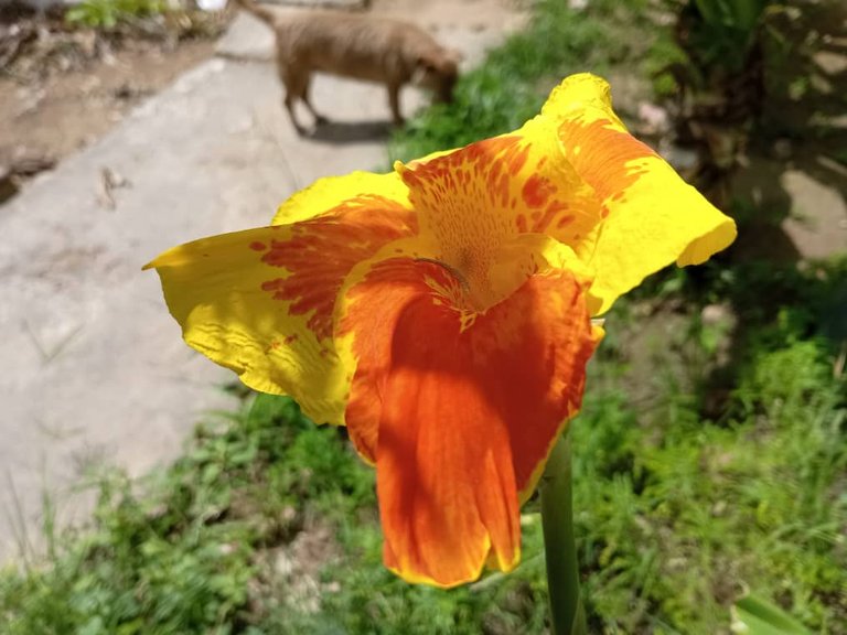 NATURE (5).jpeg