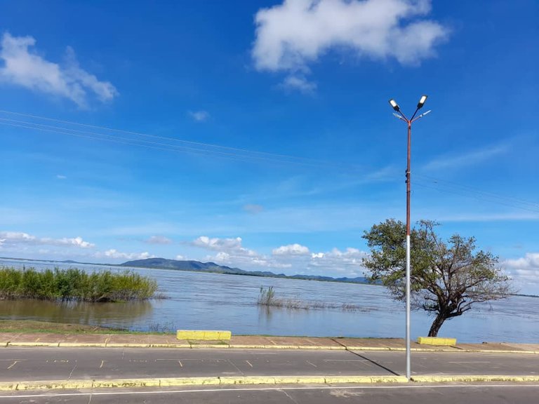 Río Orinoco (19).jpeg