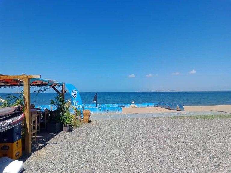 cangrejo azul (21).jpeg