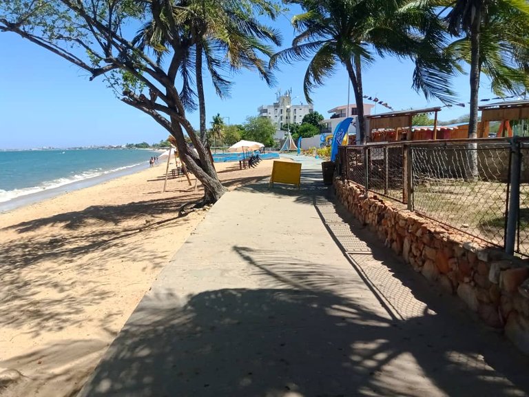 cangrejo azul (28).jpeg