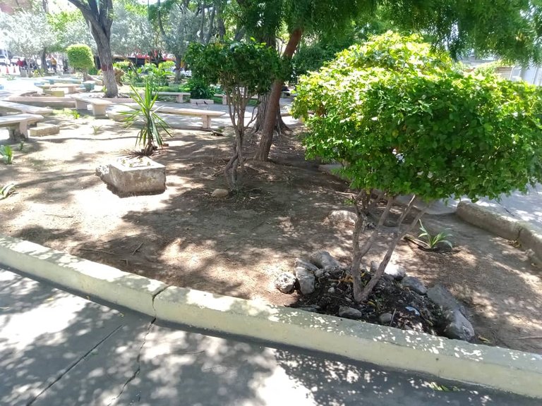 plaza (2).jpeg