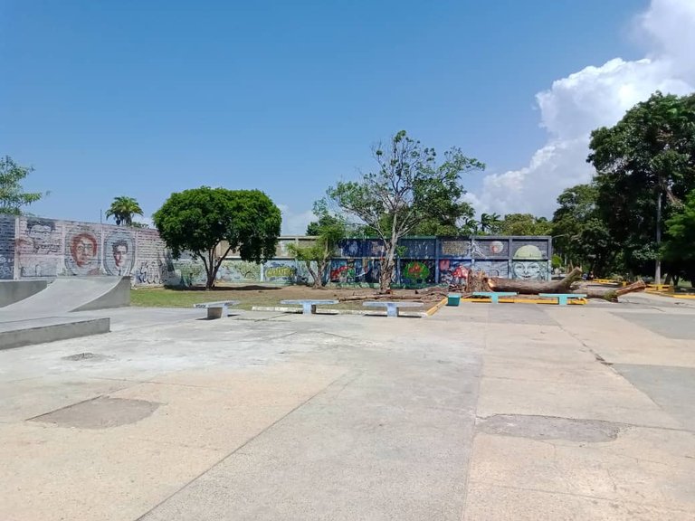 skateboard (1).jpeg