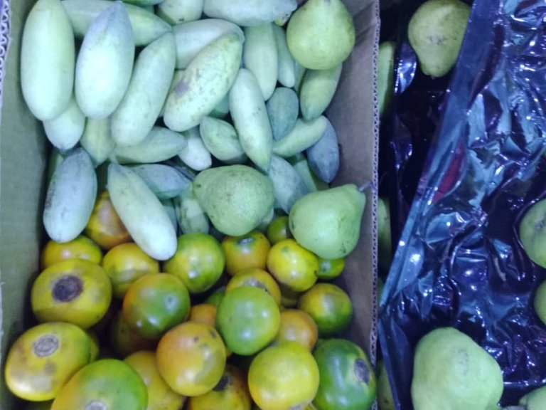 frutas (4).jpeg