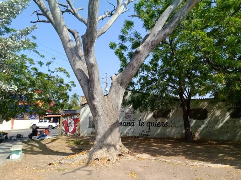 plaza juan bautistaarismenmdi (2).jpeg