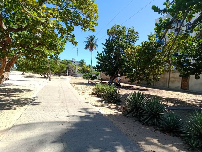la tintorera (12).jpeg