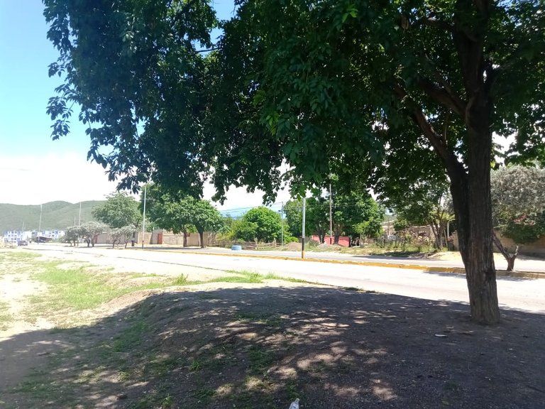 CAMPO 1 (15).jpeg