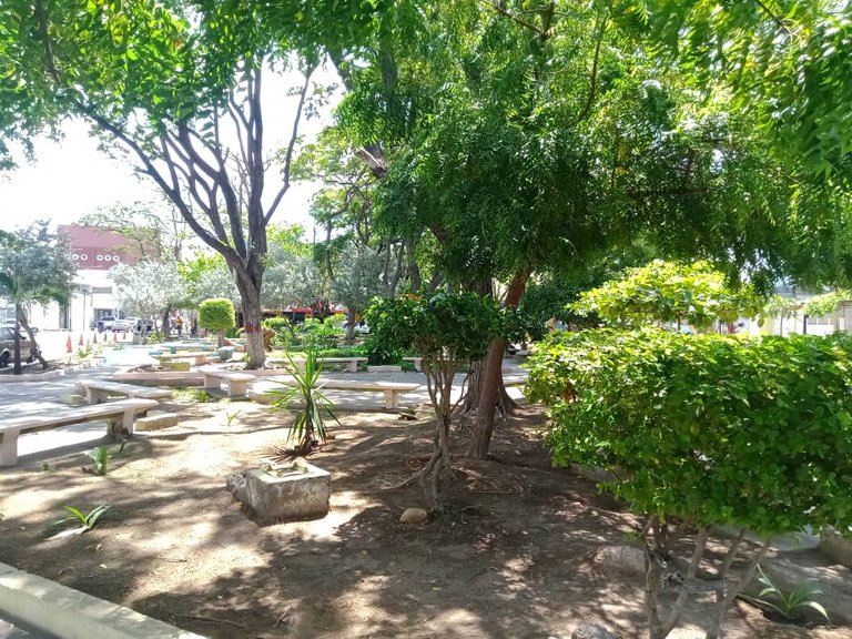 plaza (3).jpeg
