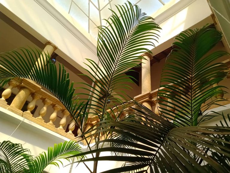 museo gran mariscal deayacucho (23).jpeg