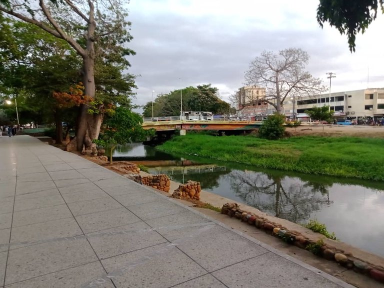 paseo vespertino parque ayacucho (10).jpeg