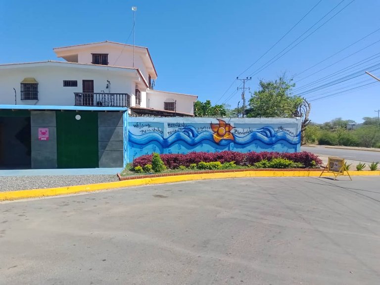 cangrejo azul (16).jpeg