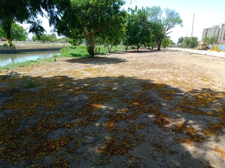 parque A (24).jpeg