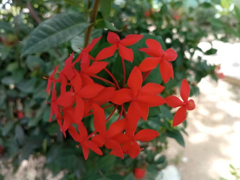 NATURE (8).jpeg