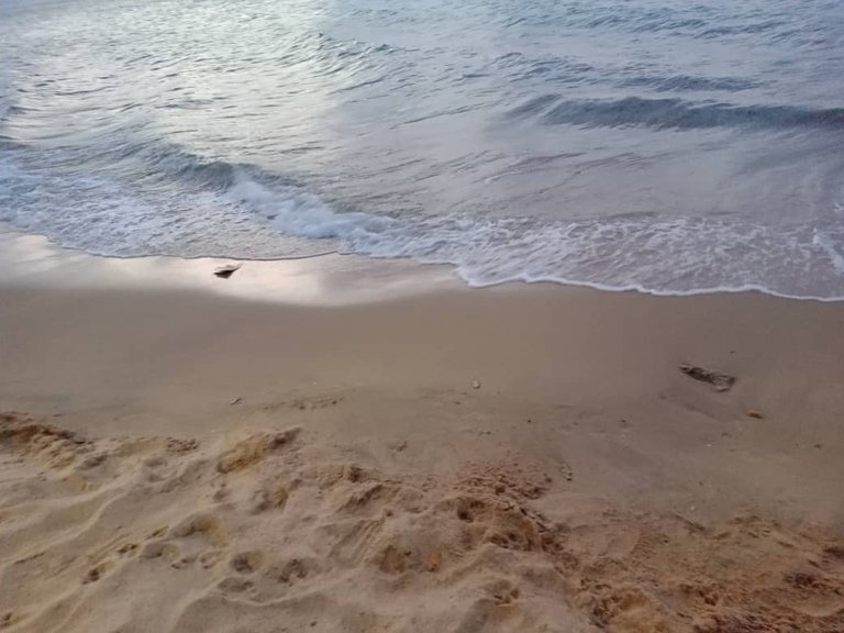 barco aladeriva (12).jpeg