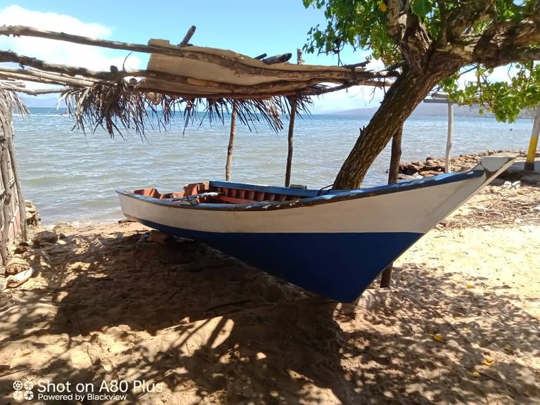 botes en la playa (9).jpeg