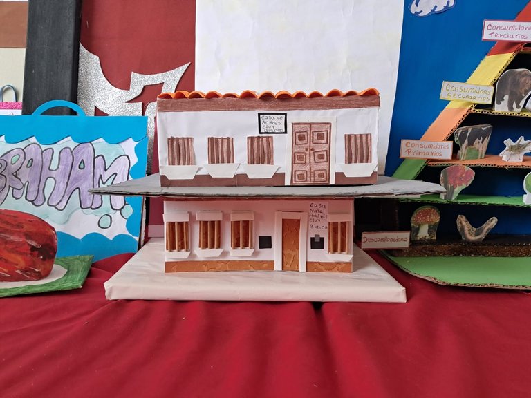 PATRIMONIO (8).jpeg