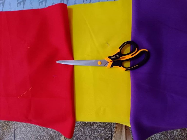bolsa frutal  (5).jpeg
