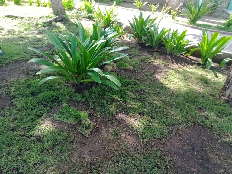 PLAZA HEROES DE CANTAURA (3).jpeg